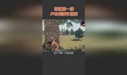 定远网红吃瓜事件始末视频,一场网络舆论的风暴与反思